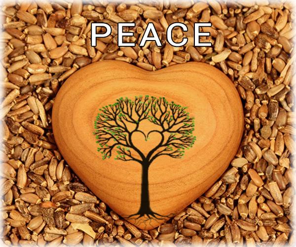 peace-heart-interfaithbook-pics