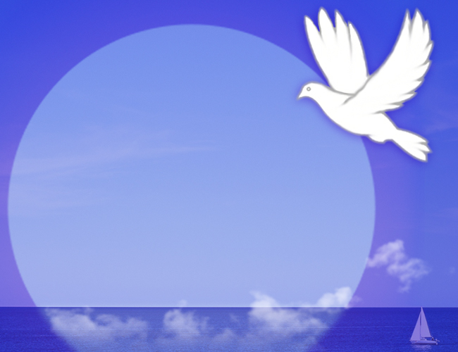 Healing Bird interfaithbook pics